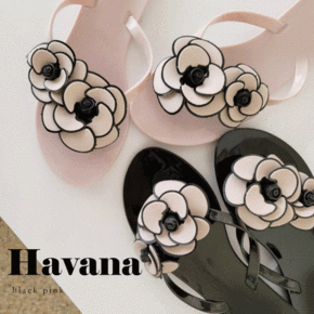 하바나 여름 꽃 젤리 쪼리 슬리퍼
